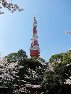 20100403-082.jpg