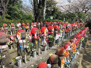 20100403-075.jpg
