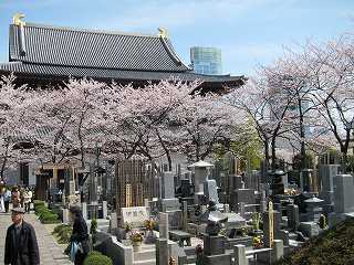 20100403-085.jpg