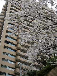 20100403-094.jpg