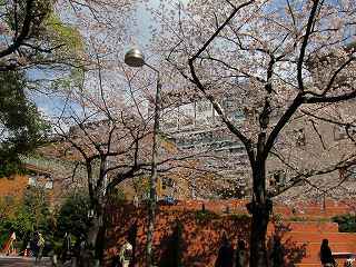 20100403-097.jpg