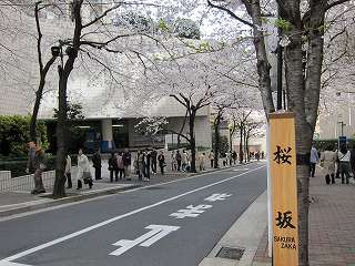 20100403-101.jpg