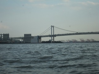 20100403-113.jpg