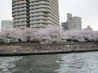 20100403-117.jpg