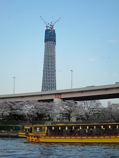 20100403-124.jpg