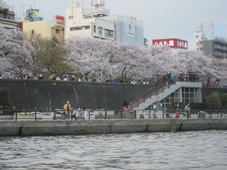 20100403-126.jpg