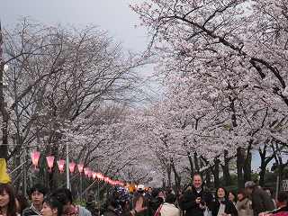 20100403-135.jpg