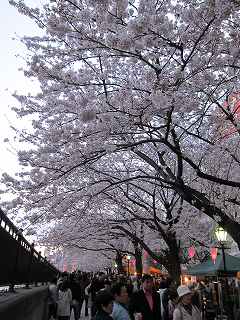 20100403-138.jpg