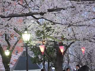 20100403-139.jpg