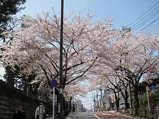 20100410-004.jpg