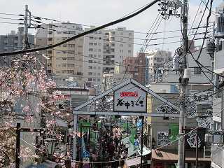 20100410-017.jpg
