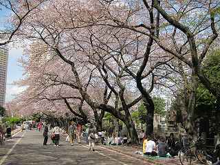 20100410-033.jpg