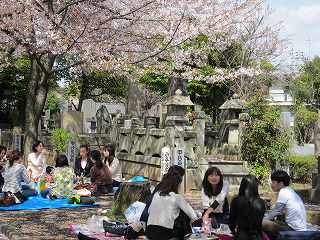 20100410-035.jpg