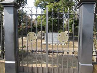20100410-044.jpg