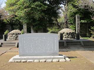 20100410-045.jpg