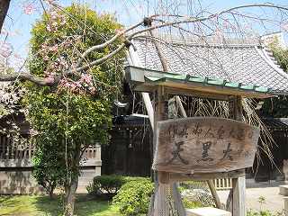 20100410-015.jpg