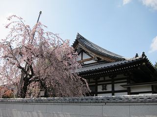 20100410-054.jpg
