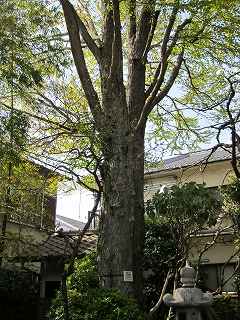 20100410-056.jpg