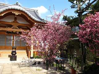 20100410-062.jpg