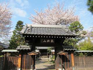 20100410-086.jpg