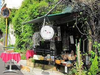 20100410-077.jpg