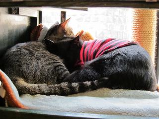 20100410-067.jpg