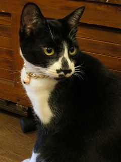 20100410-073.jpg