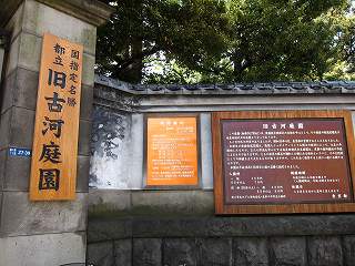 20100424-024.jpg