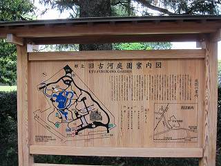 20100424-001.jpg