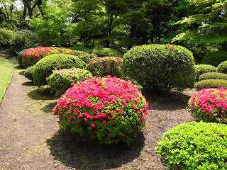 20100424-007.jpg
