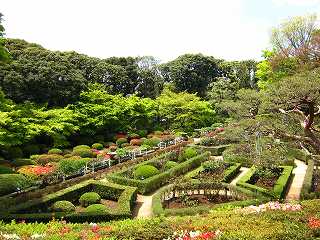 20100424-017.jpg