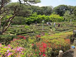 20100424-004.jpg