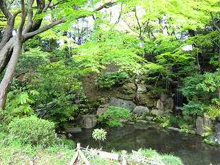 20100424-008.jpg