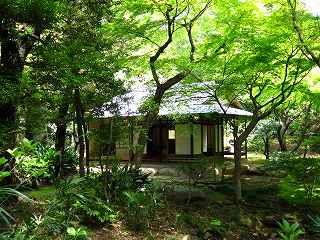 20100424-009.jpg