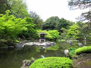 20100424-010.jpg