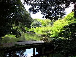 20100424-013.jpg