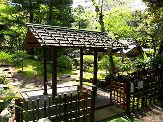 20100424-014.jpg