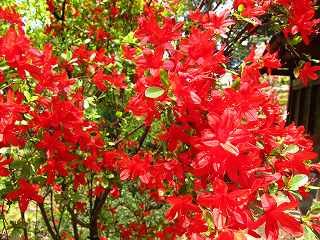20100424-029.jpg