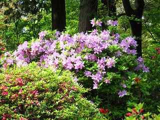 20100424-046.jpg