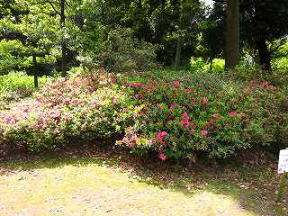 20100424-037.jpg