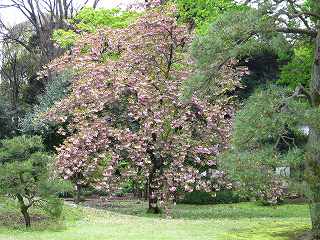 20100424-032.jpg