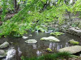 20100424-039.jpg