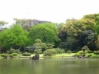 20100424-040.jpg
