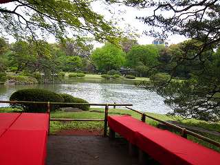 20100424-043.jpg
