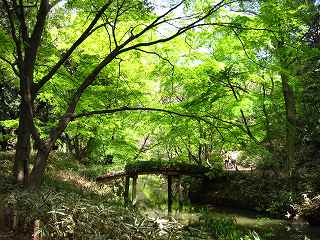 20100424-047.jpg