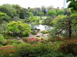 20100424-050.jpg