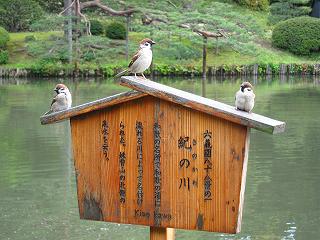 20100424-057.jpg