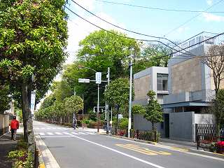 20100424-061.jpg