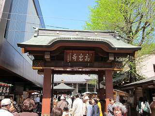 20100424-070.jpg