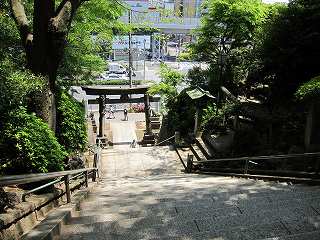 20100508-018.jpg
